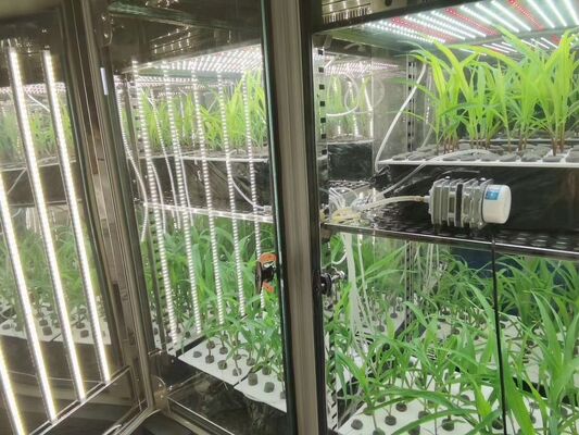 Komora wzrostu roślin Liyi Sztuczny klimat Maszyna do kiełkowania nasion Inkubator do wzrostu roślin