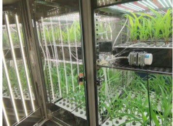 Komora wzrostu roślin LIYI Maszyna do kiełkowania nasion w sztucznym klimacie Komory komory klimatycznej Środowiskowe